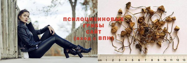 прущая мука Беломорск