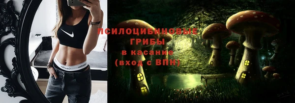 гашик Белоозёрский