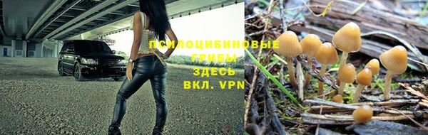 прущая мука Беломорск