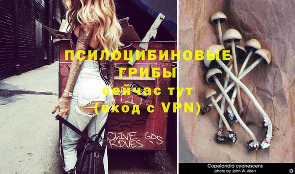 прущая мука Беломорск
