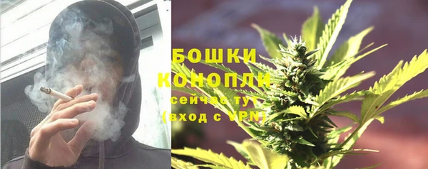 гашик Белоозёрский