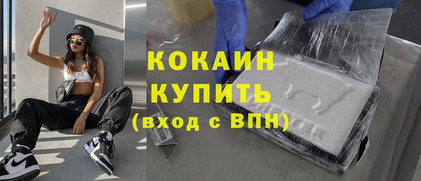 гашик Белоозёрский